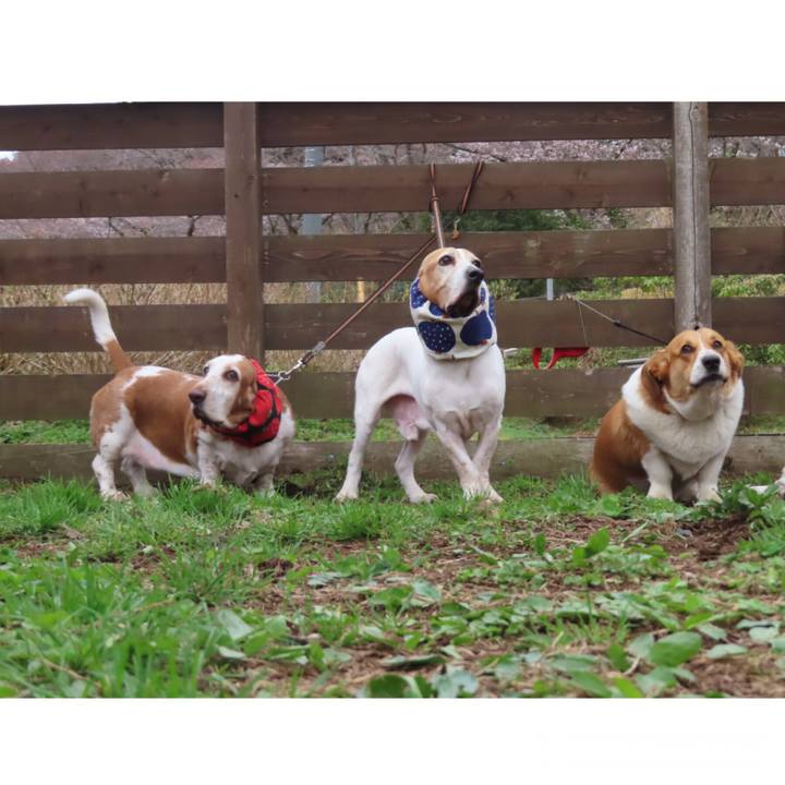 15a511dd 3d28 47e8 874b 3adaf7871d09 1648427907154