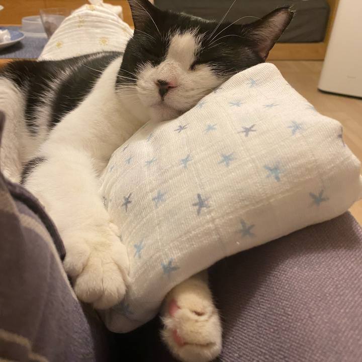 15a557a5 ff74 484e 8970 ea78a754c1ba 1752405869780