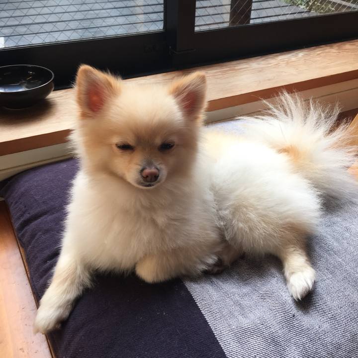 15a55cc6 a4a4 4f5e b630 52438302b20a 1518996832838