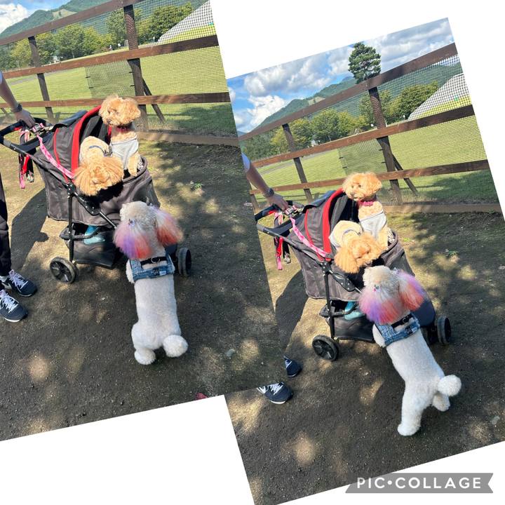 15a577a7 4dcc 429a a82e 12f23ab13f5d 1694341723002