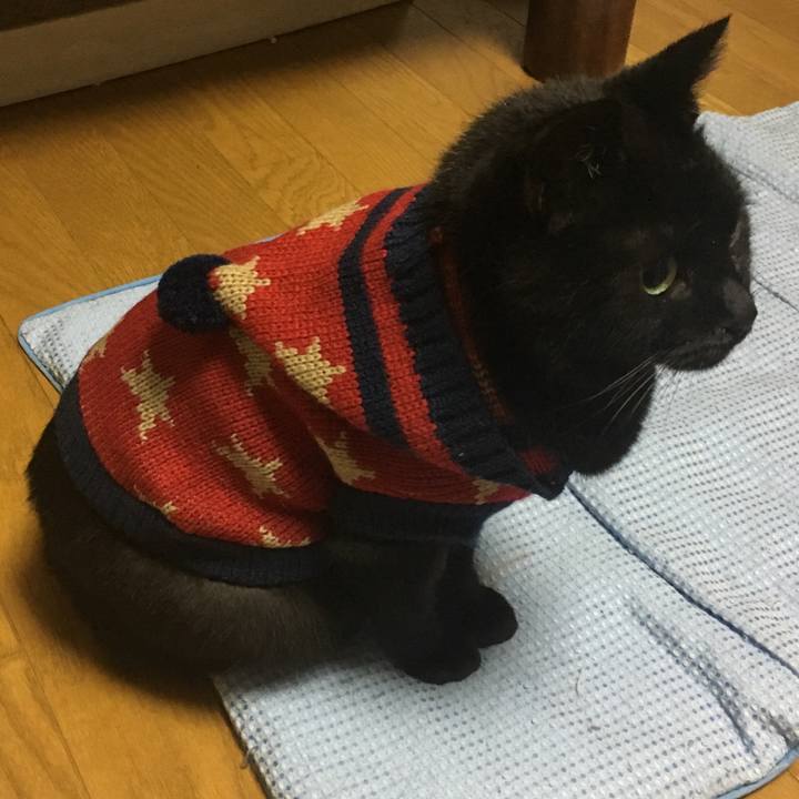 15a59717 dd92 4bbd 9b6f 04ee25cfba60 1539778642357