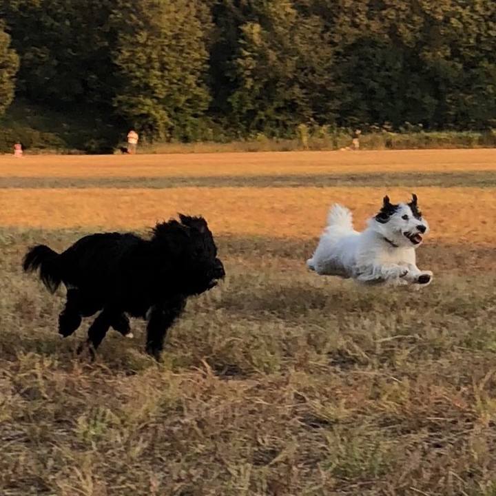 15a5989a 4cab 4ebc b4b2 a15878cbd2ed 1541977336157