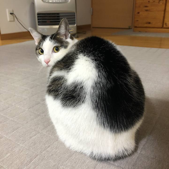 15a5d193 c6ac 4f1b ad7f a71cce43500c 1641390063193