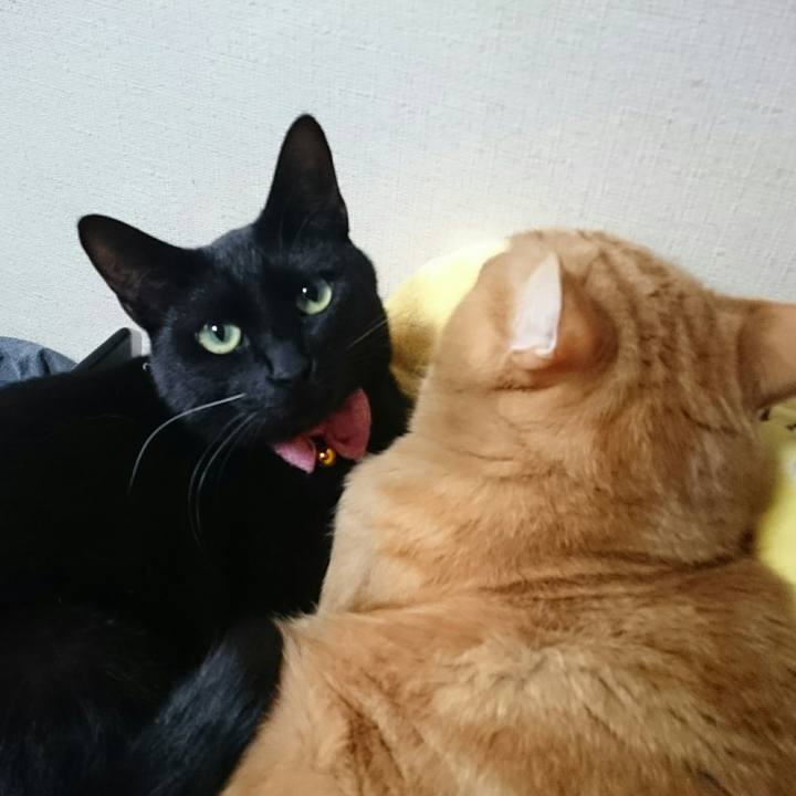 15a60131 54a1 467f b69d 6fa4d1d7cb03 1520128755921