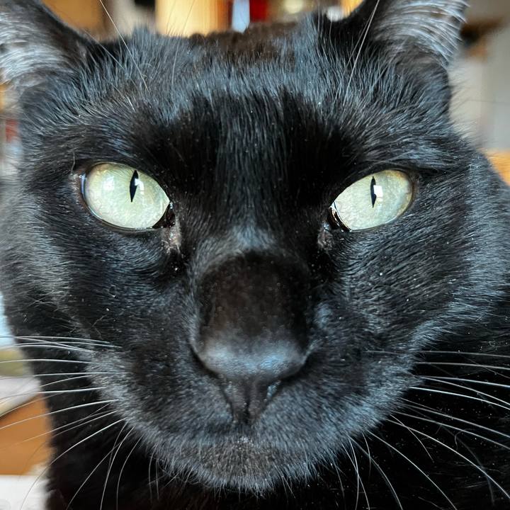 15a6159b 46ff 4480 b66a d25e02a9aa31 1711440249927