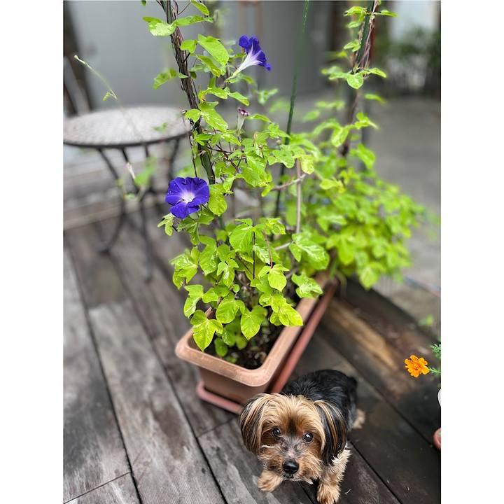 15a61add eda0 4f8b a9e7 1e9c632a0160 1659827535261