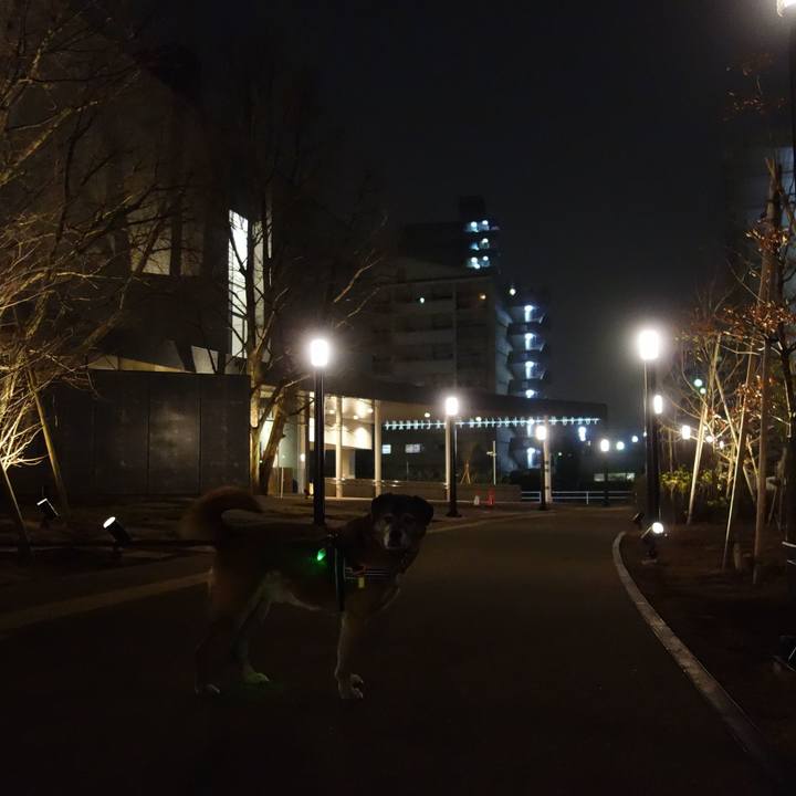 15a64017 8f8e 4d7f ae70 f3ef0b29ad0a 1550242143393