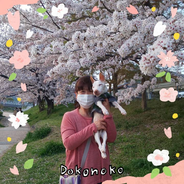 15a65437 335a 404d a049 8fc414af3696 1711074821300