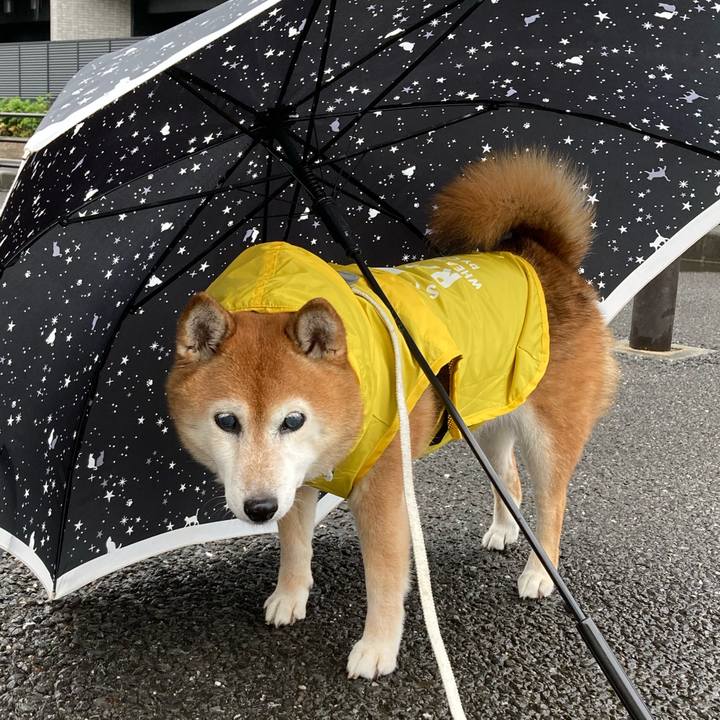 15a670ed 568f 4fe7 a87c 5cdd8a30d9f1 1719125454440