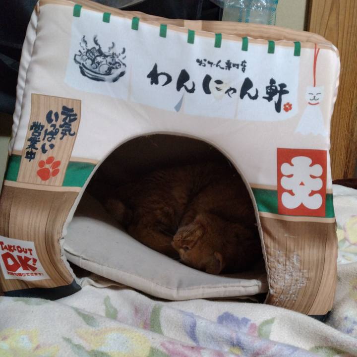 15a671c9 cda0 4213 ae9d bf30a1d8a98d 1675600714485