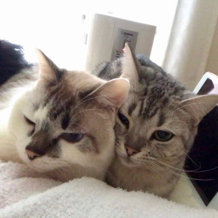 15a6b191 80c0 4ee0 b68a aefcb8e054e5 1549841612068