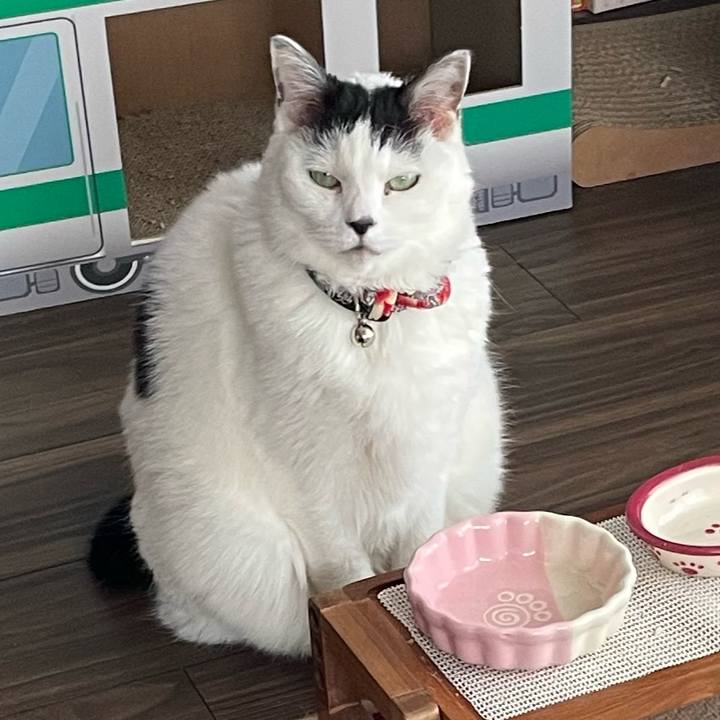 15a70e3c e0a4 4873 9e85 91b624129a68 1744295070896