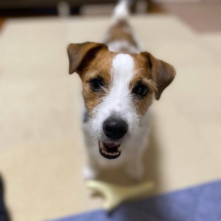 15a72e44 93d4 4f8e 9175 3407fb923ad2 1756645672040