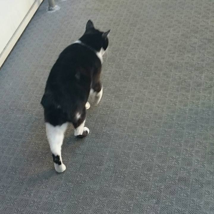 15a73f55 77a8 48ed 90f9 bf0fca72ea3b 1515045668178