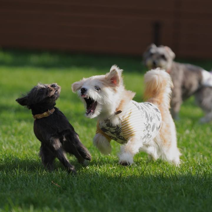 15a754cf 5185 48a5 b4a5 145f23cff657 1758718125718