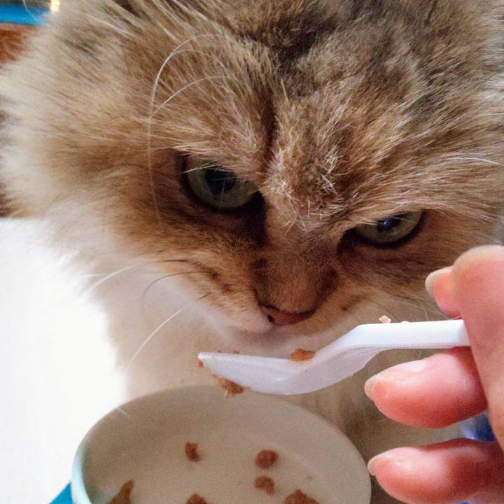 15a75bc5 35d7 49ab b556 8abb8ea0ed18 1600146618871