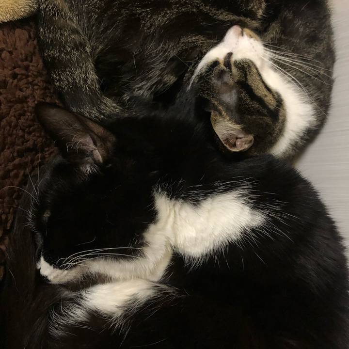 15a76c76 de20 42ed b87f a4f455884fb8 1608982085203