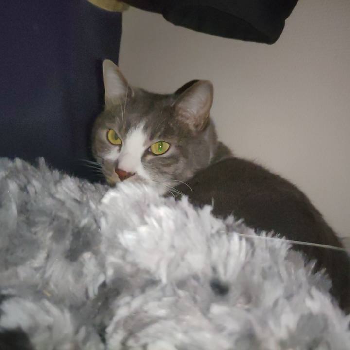 15a789da e724 41e2 a5d3 184ecaca66af 1679275274281