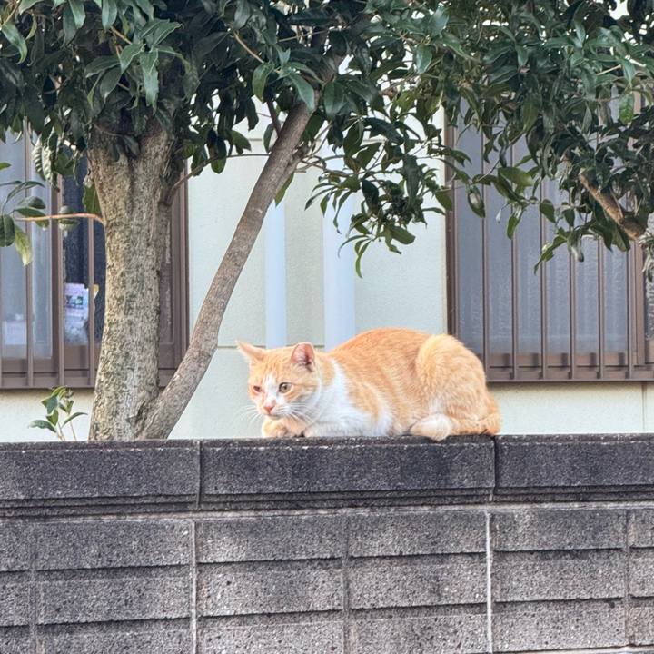 15a808aa bbe4 4b82 b025 256c06797fc0 1755486947876