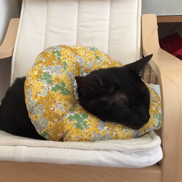 15a81a0b 2635 4b56 8947 f80b5e55af02 1526266782179