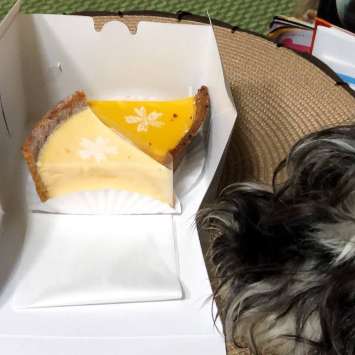 15a8384f e035 4240 9aa3 2ab53fbaaf4f 1531919732882