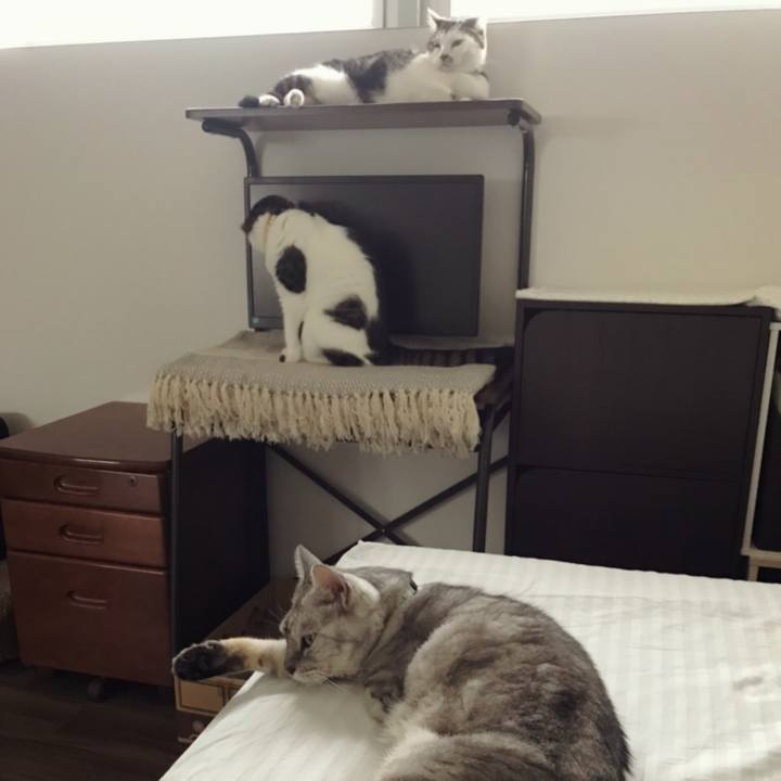 15a845e4 577d 4fd4 b756 84e73fedd4f7 1599399258782