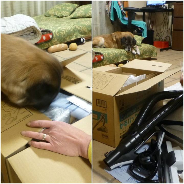 15a85da5 20a1 4f99 b3d9 79efb2541204 1579513786906