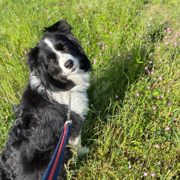 15a85ebf 6ac7 4810 9633 e4c2f8fb8b3c 1589843660593