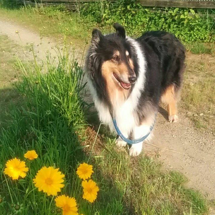 15a873d7 4df5 4a85 bad9 b73131d73682 1653575439307