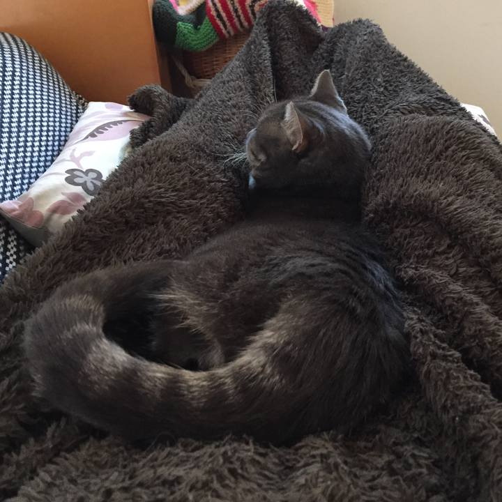 15a8821e eb99 48ff bb2a 561b161b4c00 1510055470154