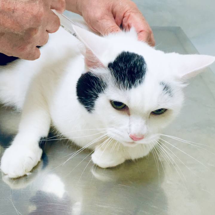 15a882c6 bfde 478a b6df 85960f6a10e5 1568380907649