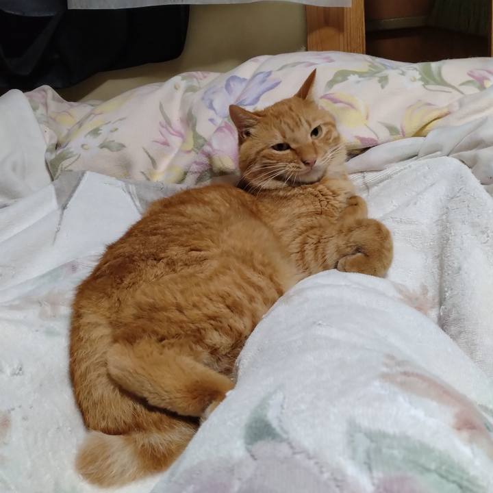 15a892db ff18 4df5 9665 6c42adbb4380 1695212230775