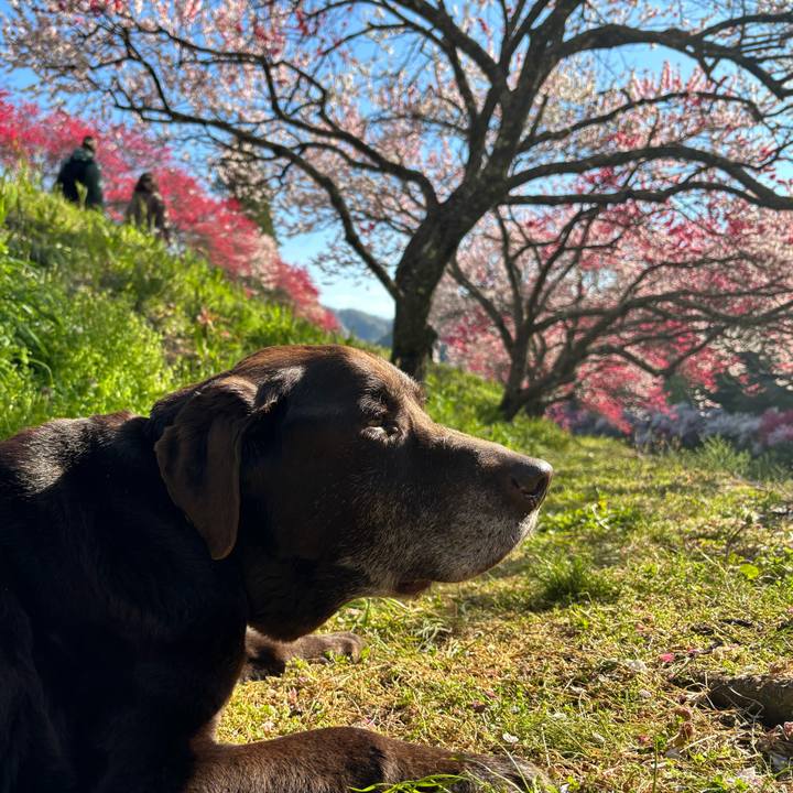 15a8d611 79e2 4735 a2d6 f455dd5c28f0 1777035424599