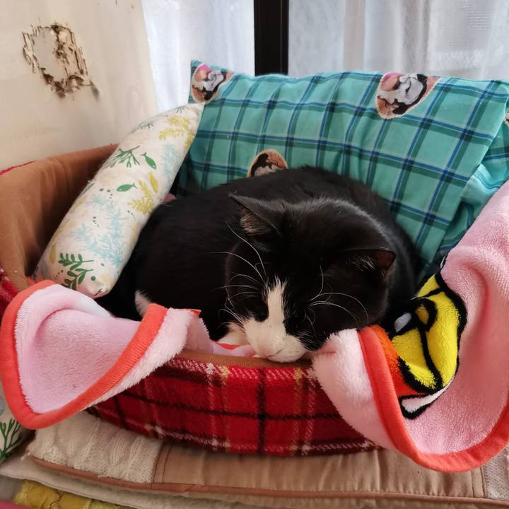 15a8dd34 9055 4c9b 9bda 5b3b94f6af97 1707800078698