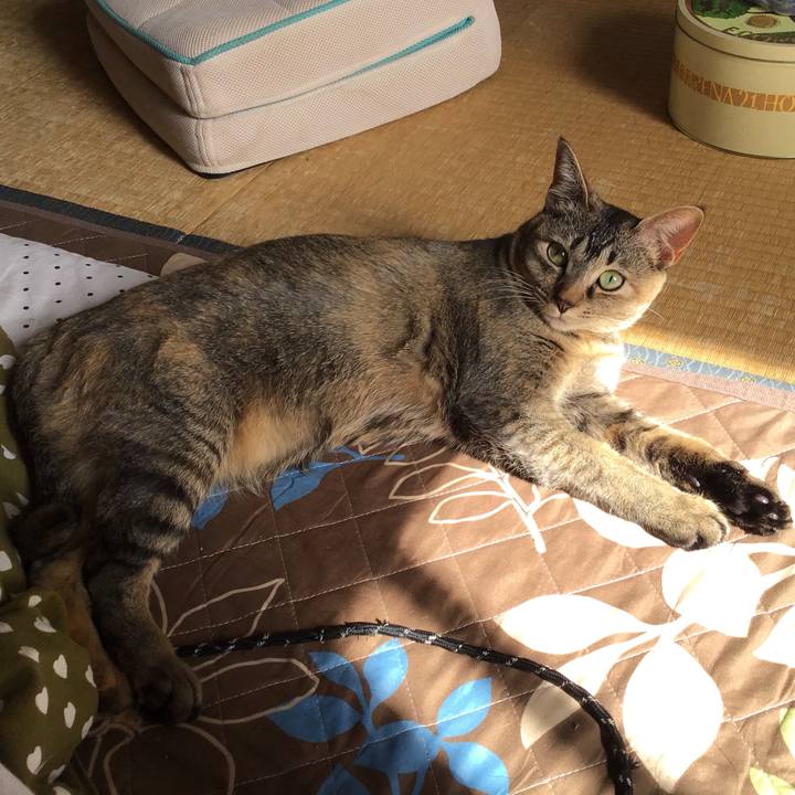 15a8e261 71e2 412b bfbf 2297f1115b55 1587441353544