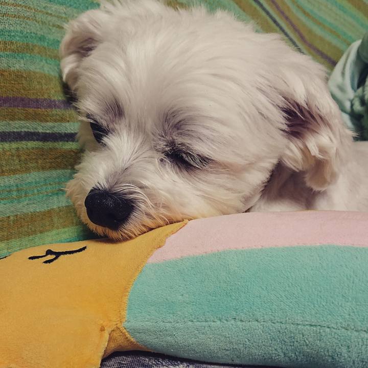 15a8f5e9 55e5 4b4e 87e1 4b4a9ac5f60d 1533128984744