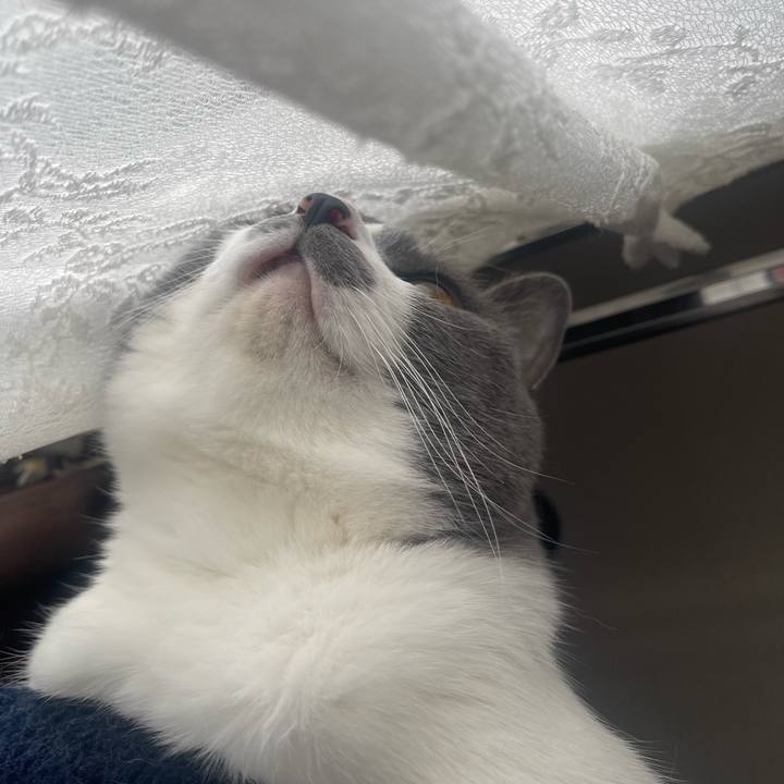 15a900b7 835c 4175 9369 8e0a17115a41 1683944946098