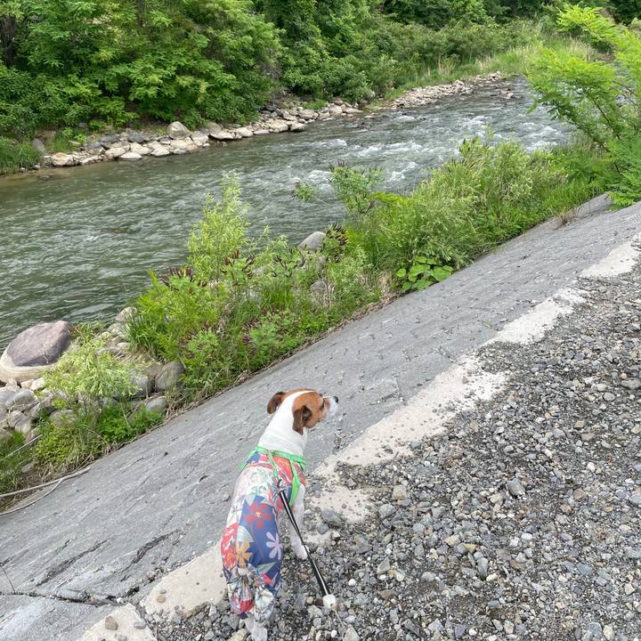 15a911e8 cb82 4d8f 93ee 7ee81ebdc623 1748761368317