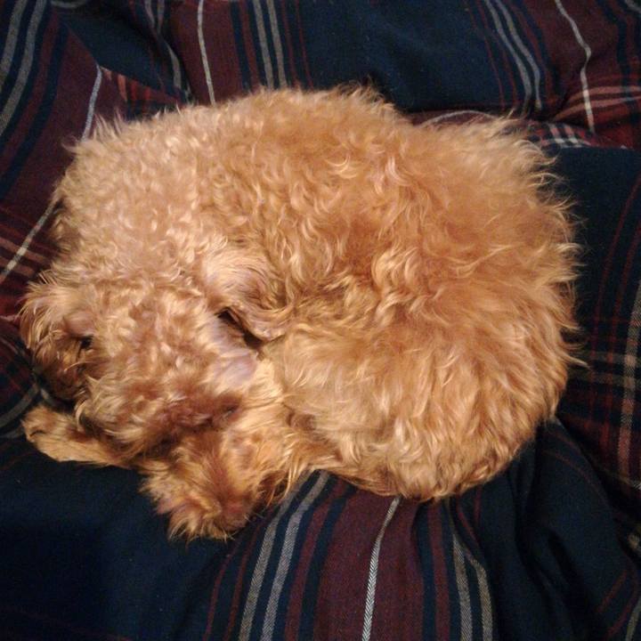 15a91bdd 1b45 4b0c 8c29 082d2a4b9304 1576068310118