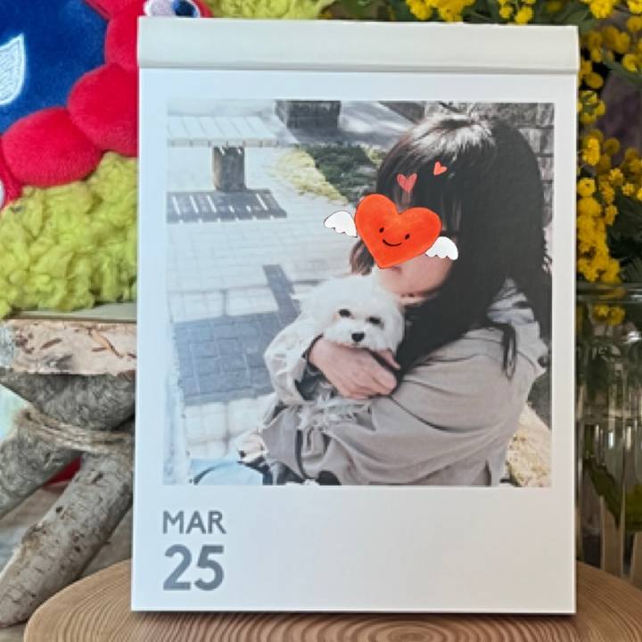 15a94619 3be3 4a34 af6f 195e73db3c36 1774439594185