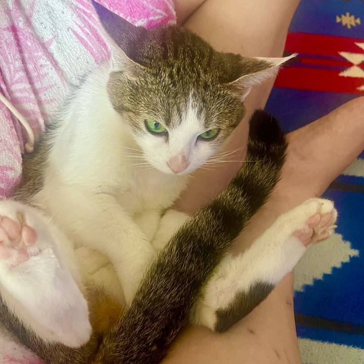 15a96587 5145 4823 b43b 6fcf6ccc4616 1661140347996