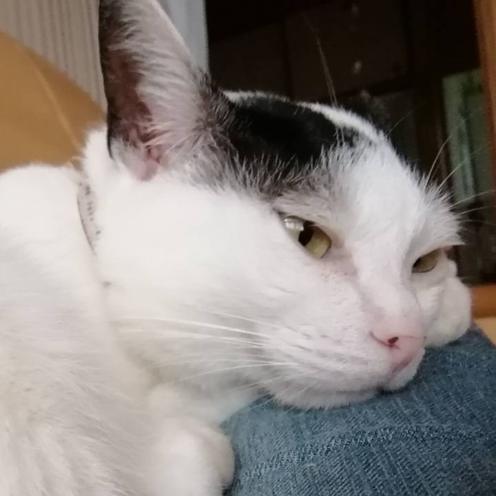 15a98771 7c2d 4ff6 a188 cb35aa5319fd 1530926834192