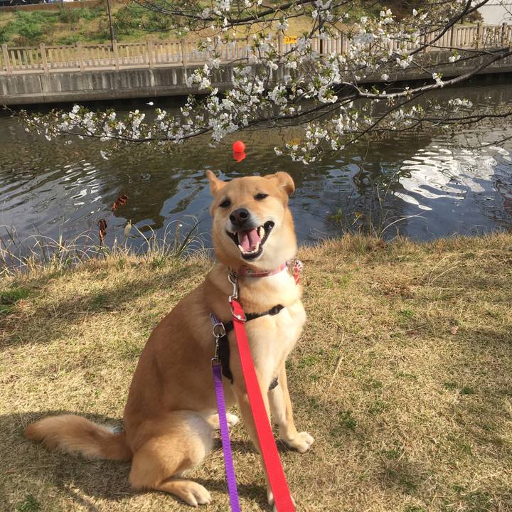 15a9b656 6898 49d6 a429 996a7f0c798c 1553212407592