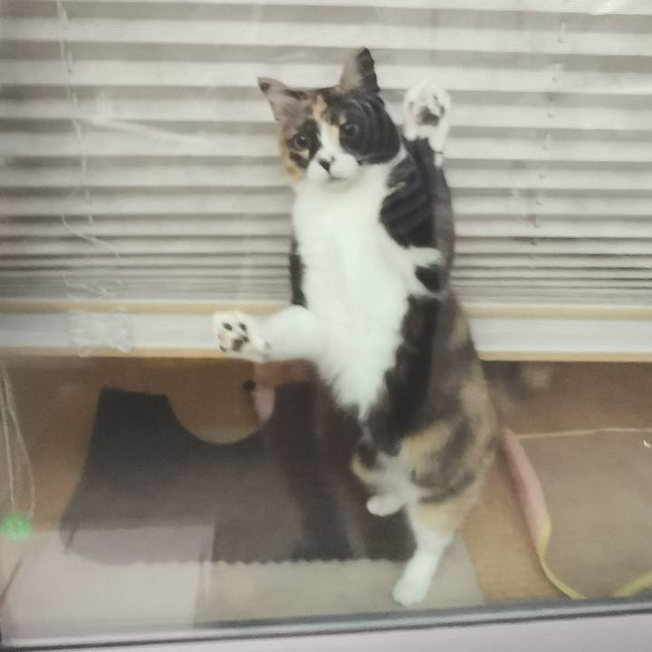 15a9d973 0441 4854 92d1 765f5515897a 1652409821866