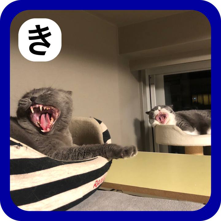 15a9faf0 4e0c 4909 b90b 8a9a17c428cb 1514820251097