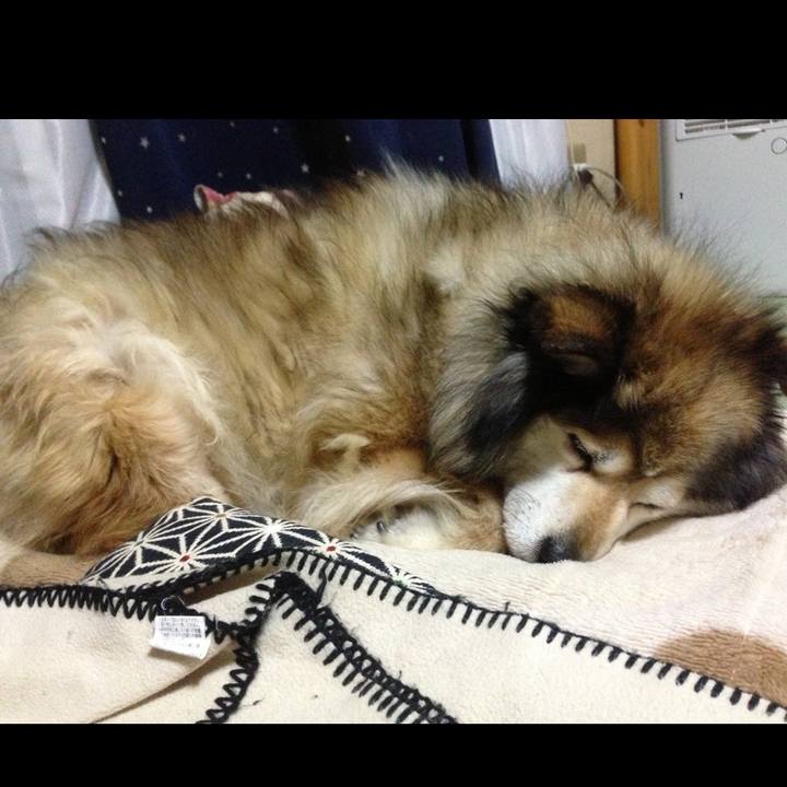 15aa2188 db1d 4684 8cb1 15689d6076cc 1604547641476