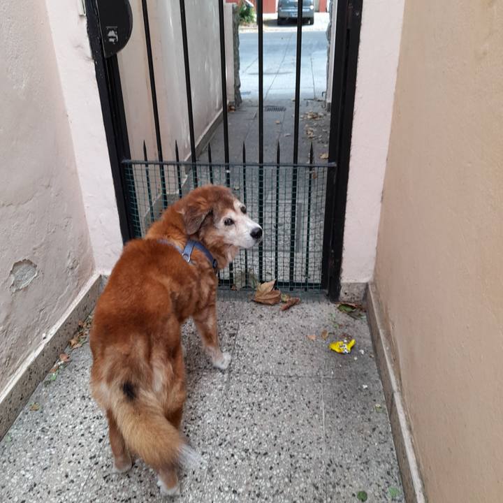 15aa292d adc8 4018 b35d 346f18bb6670 1771119859689