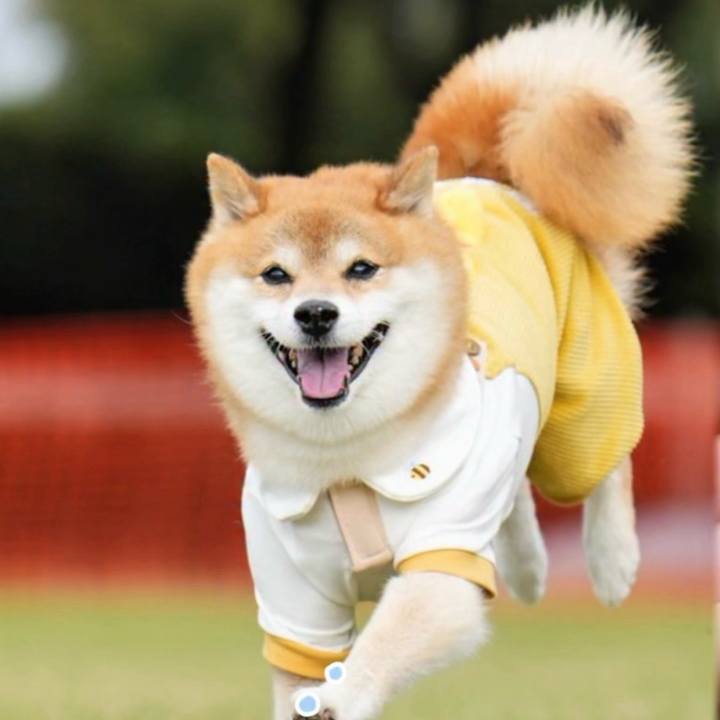 15aa5b33 f26f 4a62 aa3c 0997a0ae8e51 1759411851213