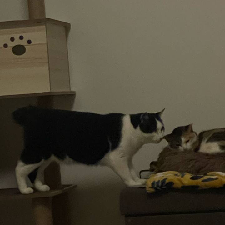 15aa787d ef7a 4da9 a423 803f471377c2 1704263872686