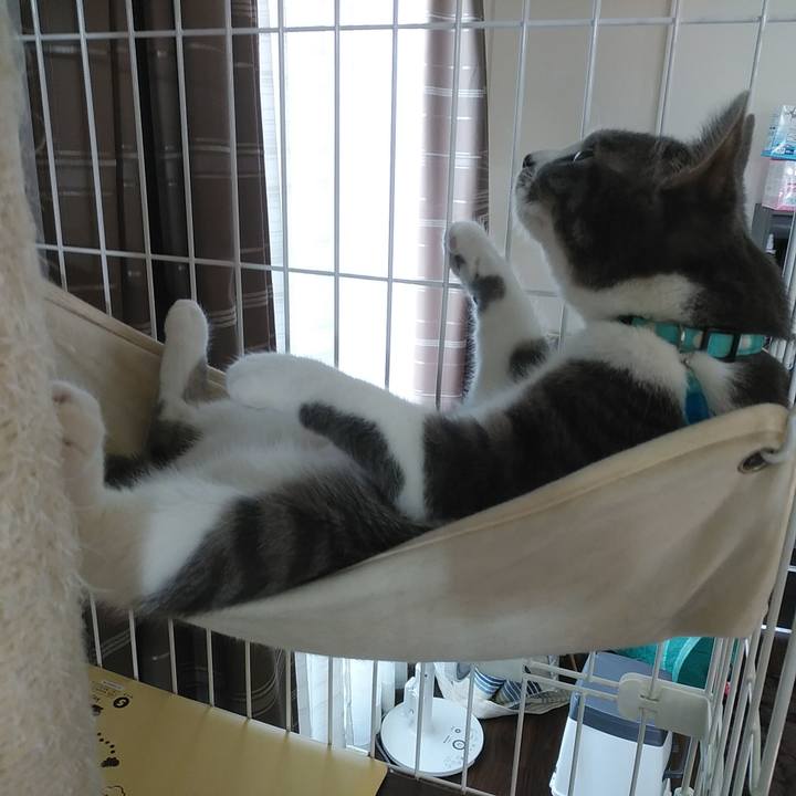 15aabcdc 9bc1 4d9a 865b 77aa93137b0e 1585959700337